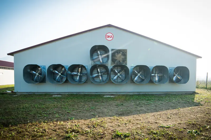 Poultry-equipment-manufacturer-Modern-free-range-poultry-systems-13